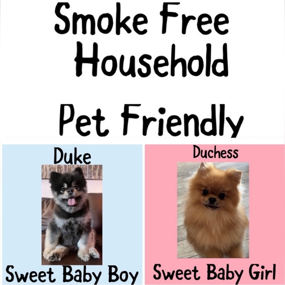 Women's Purple Sleeveless Top Torrid Eyelet Plum Caspia Cami 4X 26 - Picture 15 of 15